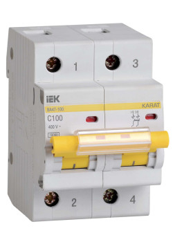 KARAT Автоматический выключатель ВА47-100 2P C 100А 10кА IEK