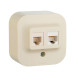 QUTEO Розетка двойная RJ11+RJ45 кат.5E UTP для открытой установки слоновая кость