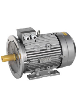 Электродвигатель асинхронный трехфазный АИС 200LB2 660В 37кВт 3000об/мин 2081 DRIVE IEK