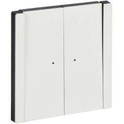 FORTE&PIANO Выключатель 2-клавишный проходной с индикацией 10А FP208M металл белый IEK