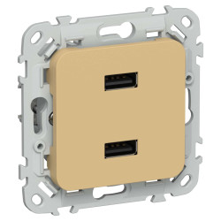 FLITE Розетка USB A+A 3,1А РЮ-2-ФлШм шамуа IEK