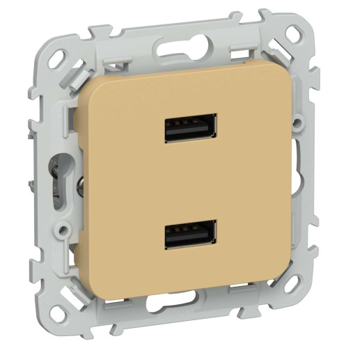 FLITE Розетка USB A+A 3,1А РЮ-2-ФлШм шамуа IEK
