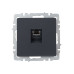 BRITE Розетка компьютерная RJ45 кат.5E РК10-БрГ графит IEK