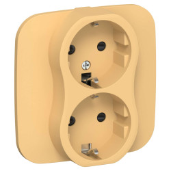 FLITE Розетка 2-местная с заземлением с защитными шторками 16А РСш12-0-А-ФлЗ золотарник IEK