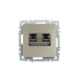 BRITE Розетка компьютерная двойная RJ45 кат.5E РК10-2-БрШ шампань IEK