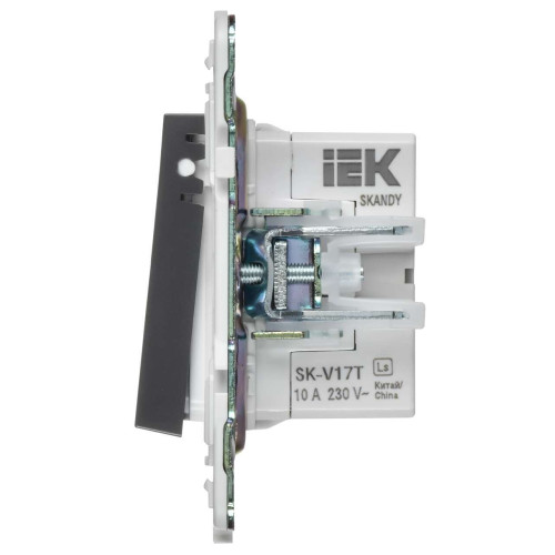 SKANDY Кнопка звонка с индикацией для отелей 10А SK-V17T титан IEK