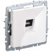BRITE Розетка компьютерная RJ45 кат.5E РК10-БрБ белый IEK