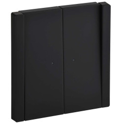 FORTE&PIANO Выключатель 2-клавишный с индикацией 10А FP106M металл черный IEK