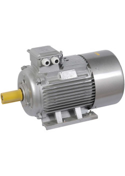 Электродвигатель асинхронный трехфазный АИР 225M4 660В 55кВт 1500об/мин 1081 DRIVE IEK