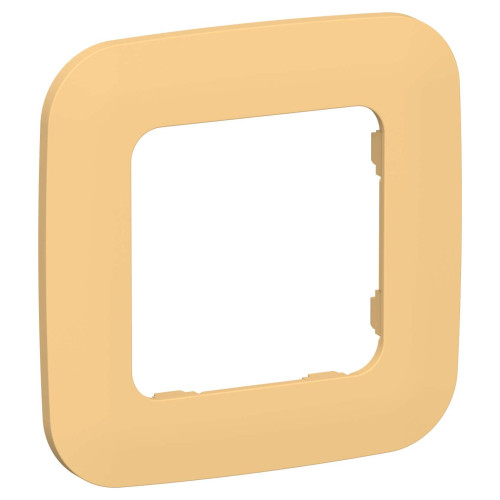 FLITE Рамка 1-местная РУ-1-А-ФлЗ золотарник IEK