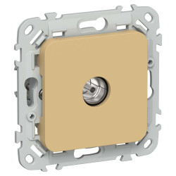 FLITE Розетка TV экранированная оконечная тип M РТВм-1-1-1-ФлШм шамуа IEK