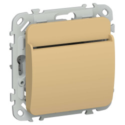 FLITE Выключатель карточный 30А ВК-0-ФлШм шамуа IEK