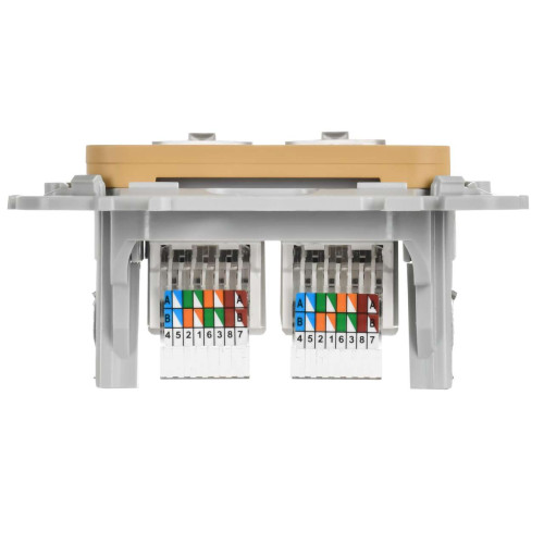 FLITE Розетка 2-местная компьютерная RJ45 категория 5Е UTP РК5е-2-0-ФлШм шамуа IEK