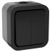 TORS Выключатель двухклавишный 10А IP55 TS105 графит IEK