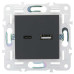 SKANDY Розетка USB A+C 3,1А SK-R14G графит IEK