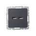 BRITE Розетка USB A+A 5В 3,1А РЮ10-1-БрГ графит IEK