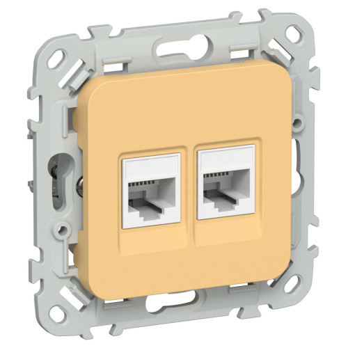 FLITE Розетка 2-местная компьютерная RJ45 категория 5Е UTP РК5е-2-0-ФлЗ золотарник IEK