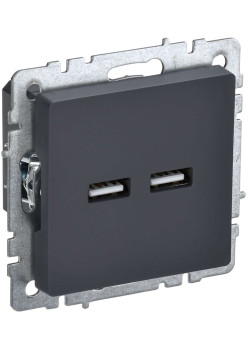 BRITE Розетка USB A+A 5В 3,1А РЮ10-1-БрГ графит IEK