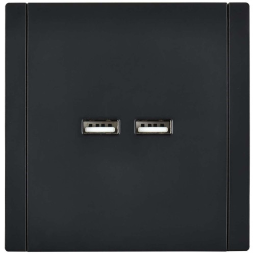 FORTE&PIANO Розетка USB A+A 3,1А FP149 черный IEK FORTE&PIANO Розетка USB A+A 3,1А FP149 черный IEK