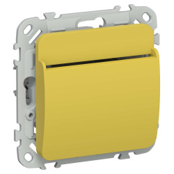 FLITE Выключатель карточный 30А ВК-0-ФлЖК желтый карри IEK
