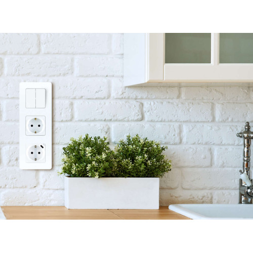INSPIRIA Розетка 1-местная с заземлением с защитными шторками 16А с USB C 5В безвинтовое крепление белый