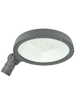 Светильник светодиодный консольный ДКУ Парк 2001-100Д 5000К IP65 IEK