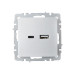 BRITE Розетка USB A+C 18Вт РЮ11-1-БрА алюминий IEK