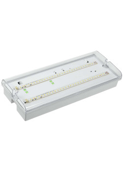 Светильник аварийный ДПА 5042-1 1ч универсальный IP65 IEK