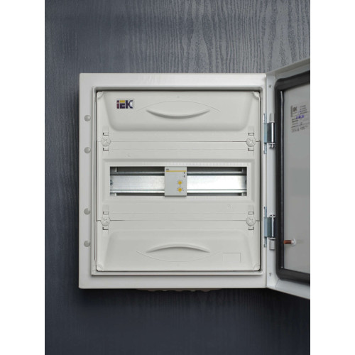 Ограничитель мощности ОМ-2P 16А 230В IEK