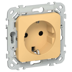 FLITE Розетка с заземлением с защитными шторками безвинтовое крепление 16А РСш11-1-ФлЗ золотарник IEK