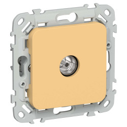 FLITE Розетка TV экранированная проходная тип M РТВм-1-1-2-ФлЗ золотарник IEK