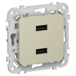 FLITE Розетка USB A+A 3,1А РЮ-2-ФлШ шампань IEK