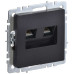 BRITE Розетка компьютерная двойная RJ45 кат.6 РК11-2-БрЧ черный IEK