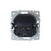 BRITE Розетка 1-местная с заземлением с защитными шторками 16А с USB A+A 5В 2,1А РЮш10-1-БрШ шампань IEK
