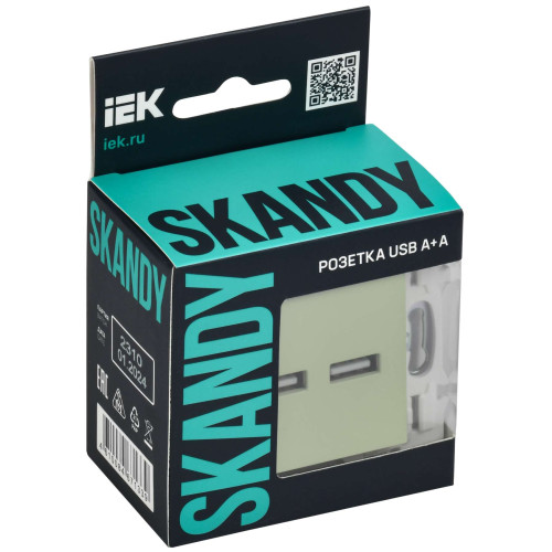 SKANDY Розетка USB A+A 3,1А SK-R15G мятный IEK