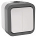 TORS Выключатель двухклавишный 10А IP55 TS205 серо-белый IEK