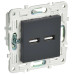SKANDY Розетка USB A+A 3,1А SK-R15G графит IEK