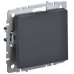 BRITE Выключатель 1-клавишный 10А ВС10-1-0-БрГ графит IEK