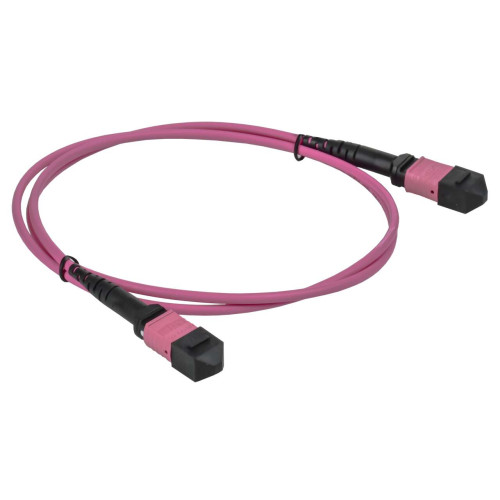 ITK Сборка кабельная волоконно-оптическая MTP male - MTP male 12 ОВ тип B OM4 100м