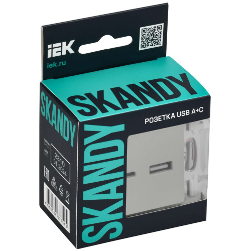 SKANDY Розетка USB A+C 3,1А SK-R14B бежевый IEK