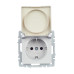 BRITE Розетка 1-местная с заземлением с защитными шторками и крышкой 16А IP44 РСбш10-3-44-БрА алюминий IEK