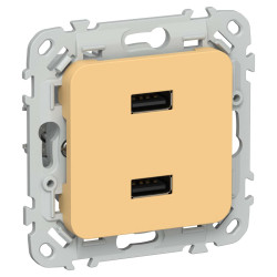 FLITE Розетка USB A+A 3,1А РЮ-2-ФлЗ золотарник IEK
