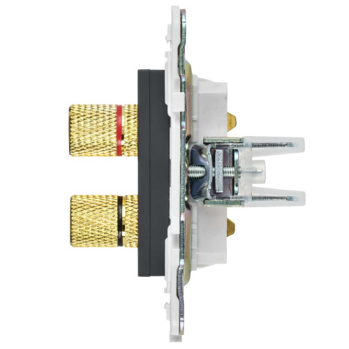 SKANDY Аудиорозетка 4-местная SK-A01T титан IEK