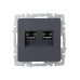 BRITE Розетка компьютерная двойная RJ45 кат.6 РК11-2-БрГ графит IEK