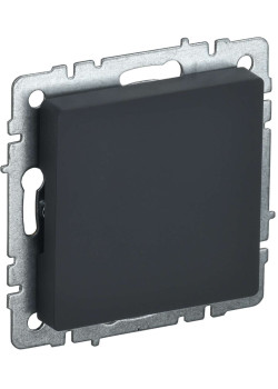 BRITE Заглушка с суппортом МЗ10-БрГ графит IEK