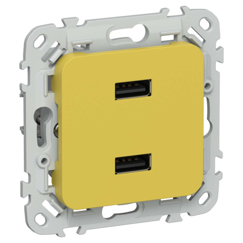 FLITE Розетка USB A+A 3,1А РЮ-2-ФлЖК желтый карри IEK