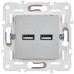 SKANDY Розетка USB A+A 3,1А SK-R15S серебряный IEK