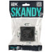 SKANDY Розетка без заземления без защитных шторок 10А SK-R02G графит IEK