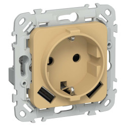 FLITE Розетка 1-местная с заземлением с защитными шторками 16А с USB A+A 3,1А РСЮша11-0-ФлШм шамуа IEK