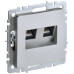BRITE Розетка компьютерная двойная RJ45 кат.5E РК10-2-БрА алюминий IEK
